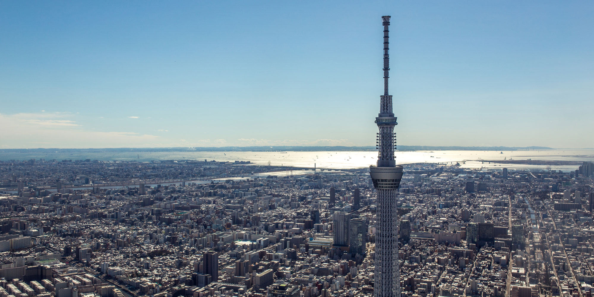 Header Image